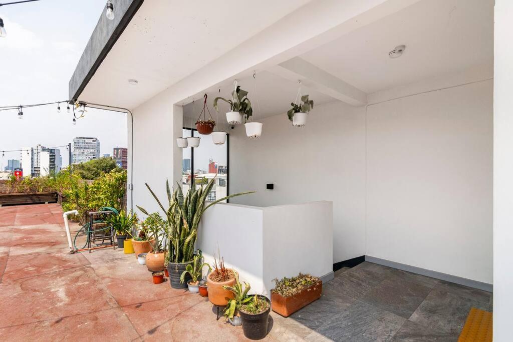Modern And Comfy Right Between Roma-condesa Mexico City