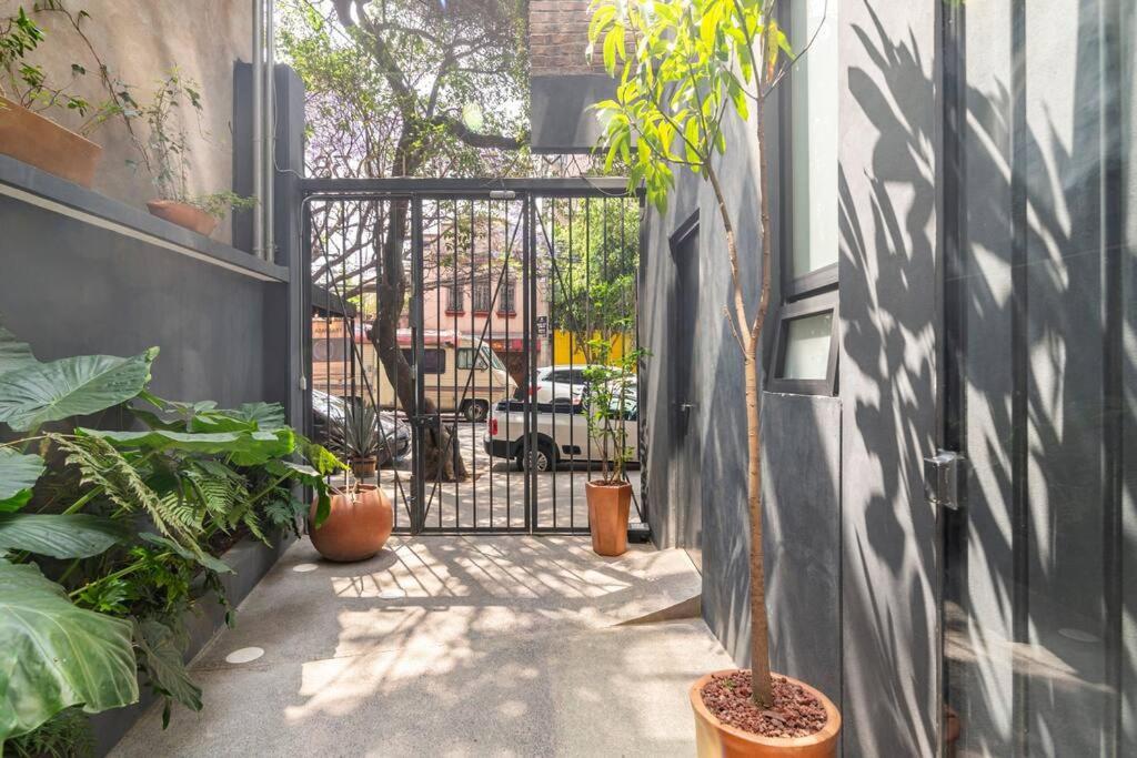 Modern And Comfy Right Between Roma-condesa * Mexico City