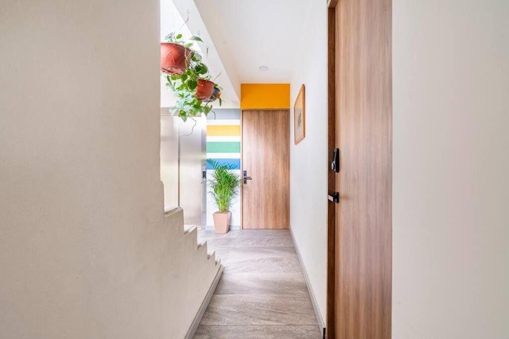 Modern And Comfy Right Between Roma-condesa *