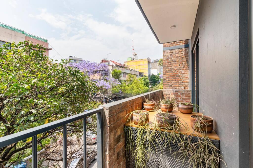 Modern And Comfy Right Between Roma-condesa Apartment Mexico City