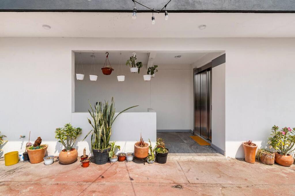 Modern And Comfy Right Between Roma-condesa * Mexico City