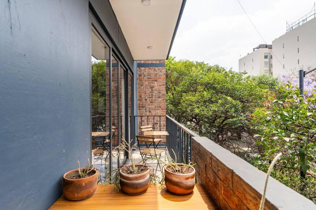 Modern And Comfy Right Between Roma-condesa Apartment Mexico City