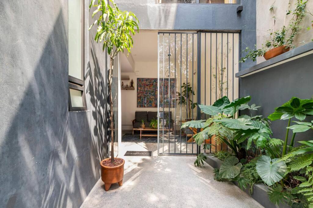 Apartment Modern And Comfy Right Between Roma-condesa Mexico City